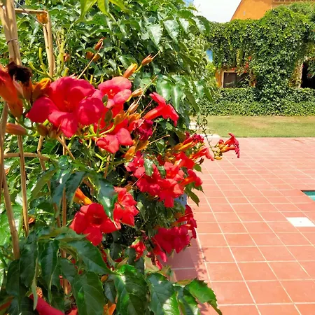 Mas De Bernis - Gran L'Aldea